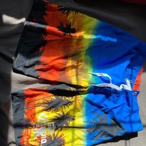 Men's Corona Swimsuit Bottoms (Medium-Never Worn)